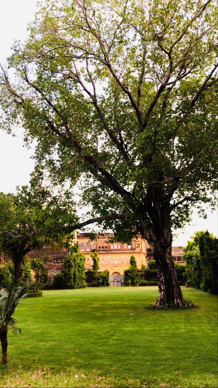 Hotel Saba Haveli Divisione di Divisione di Jaipur Esterno foto